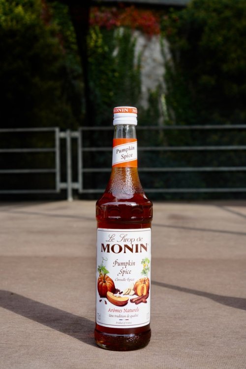 Dýňový sirup MONIN kořeněný 1L
