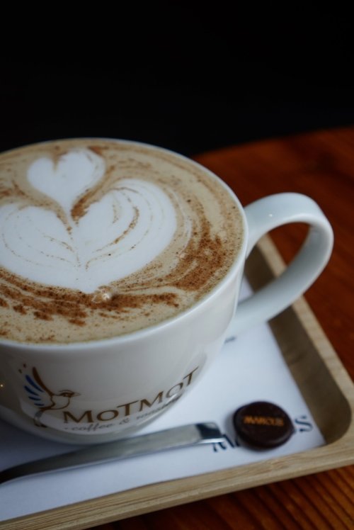 Dýňový sirup MONIN kořeněný 1L