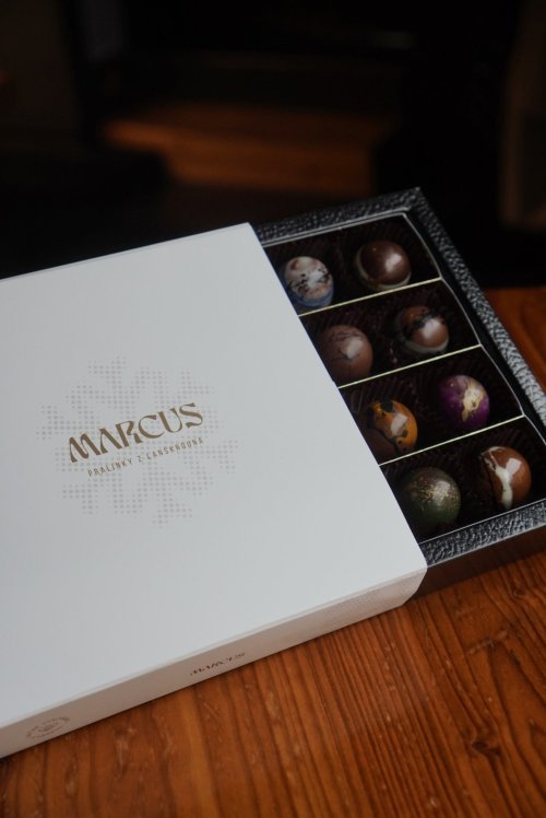 VÁNOČNÍ MLÉČNÁ KOLEKCE 16 pralinek - CE7